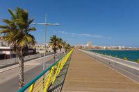 torrevieja3